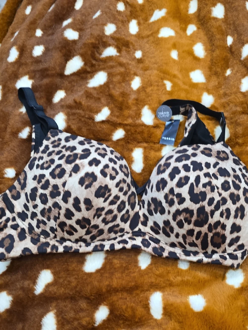 Leopard Print Torrid Wire Free‎ Push Up Nwt 42b